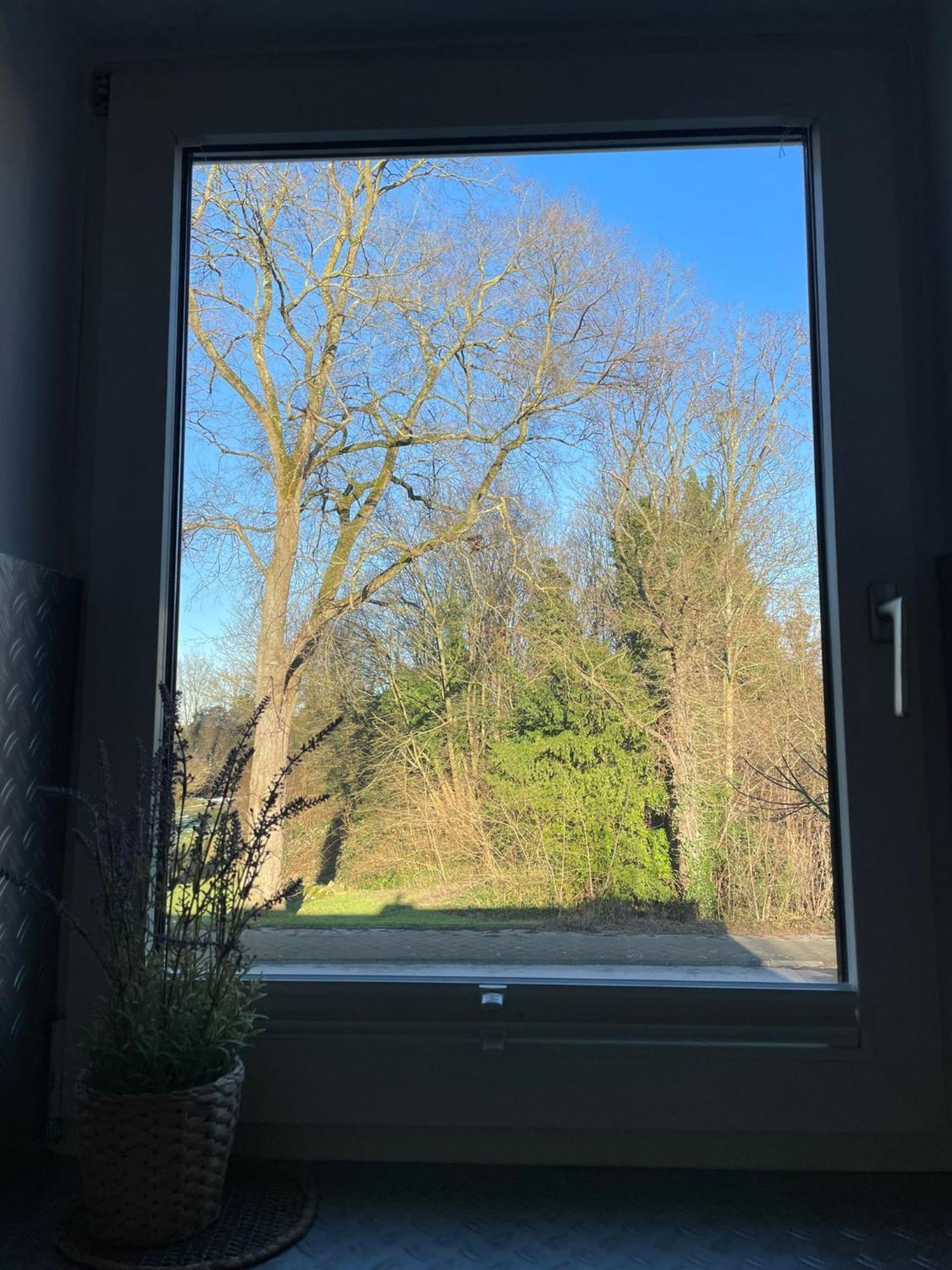 Ideale Unterkunft in Düsseldorf-Nord Exterior foto